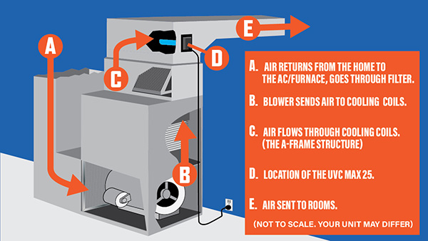 A-Frame Coil Placement for UVC Light Max 25